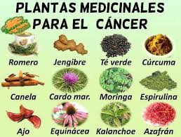 Plantas Medicinales