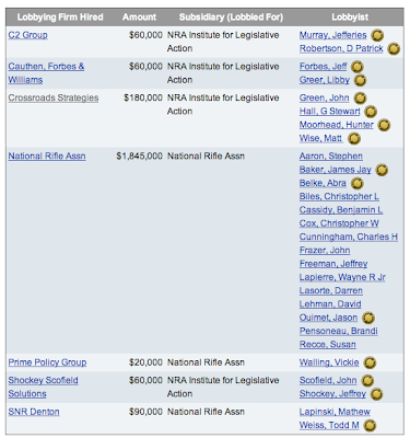 America's Powerful Gun Lobby
