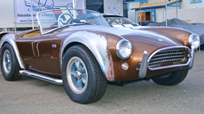 Dragonsnake Cobra Found