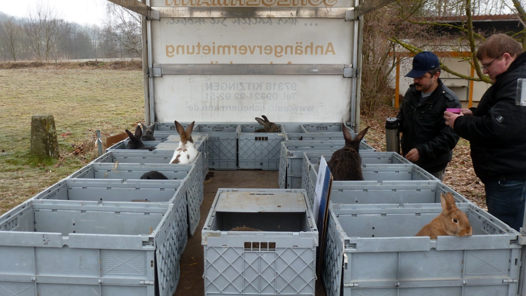 Kleiner Gemüsekönig Kleintiermarkt in Weikersheim