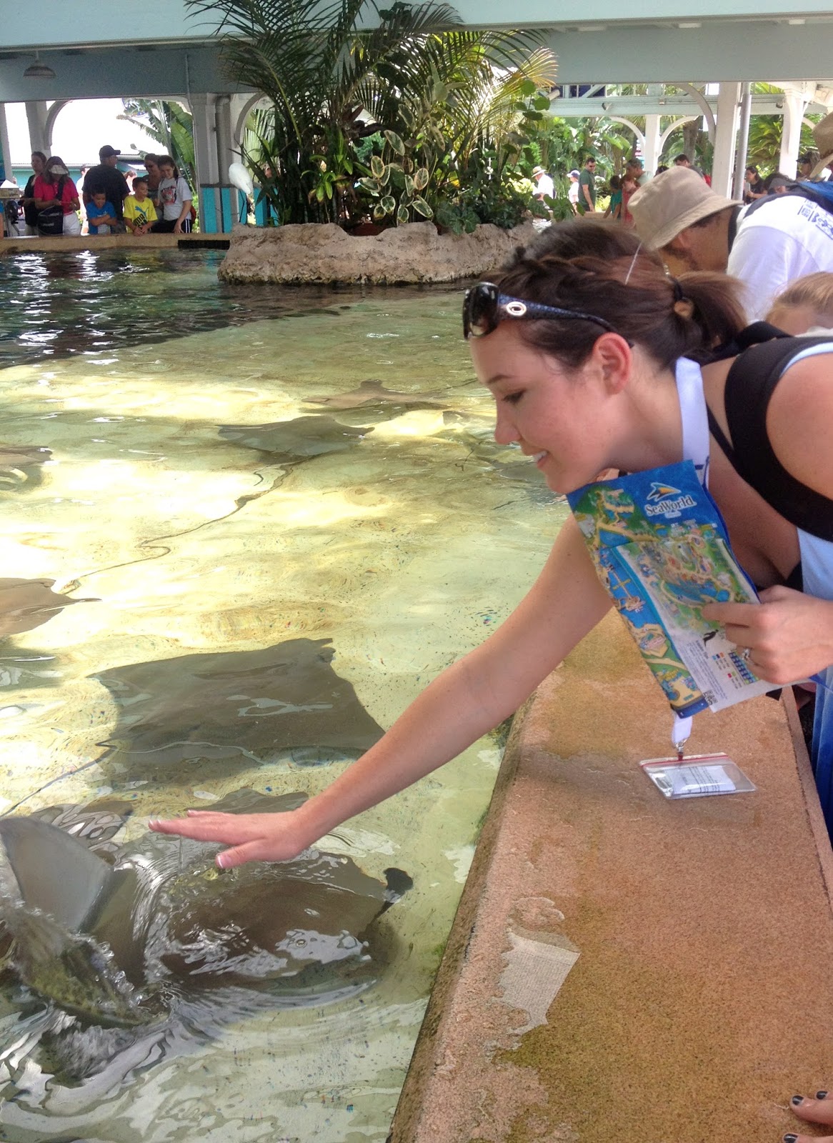 The Hale's Orlando Panama Canal Zone Reunion