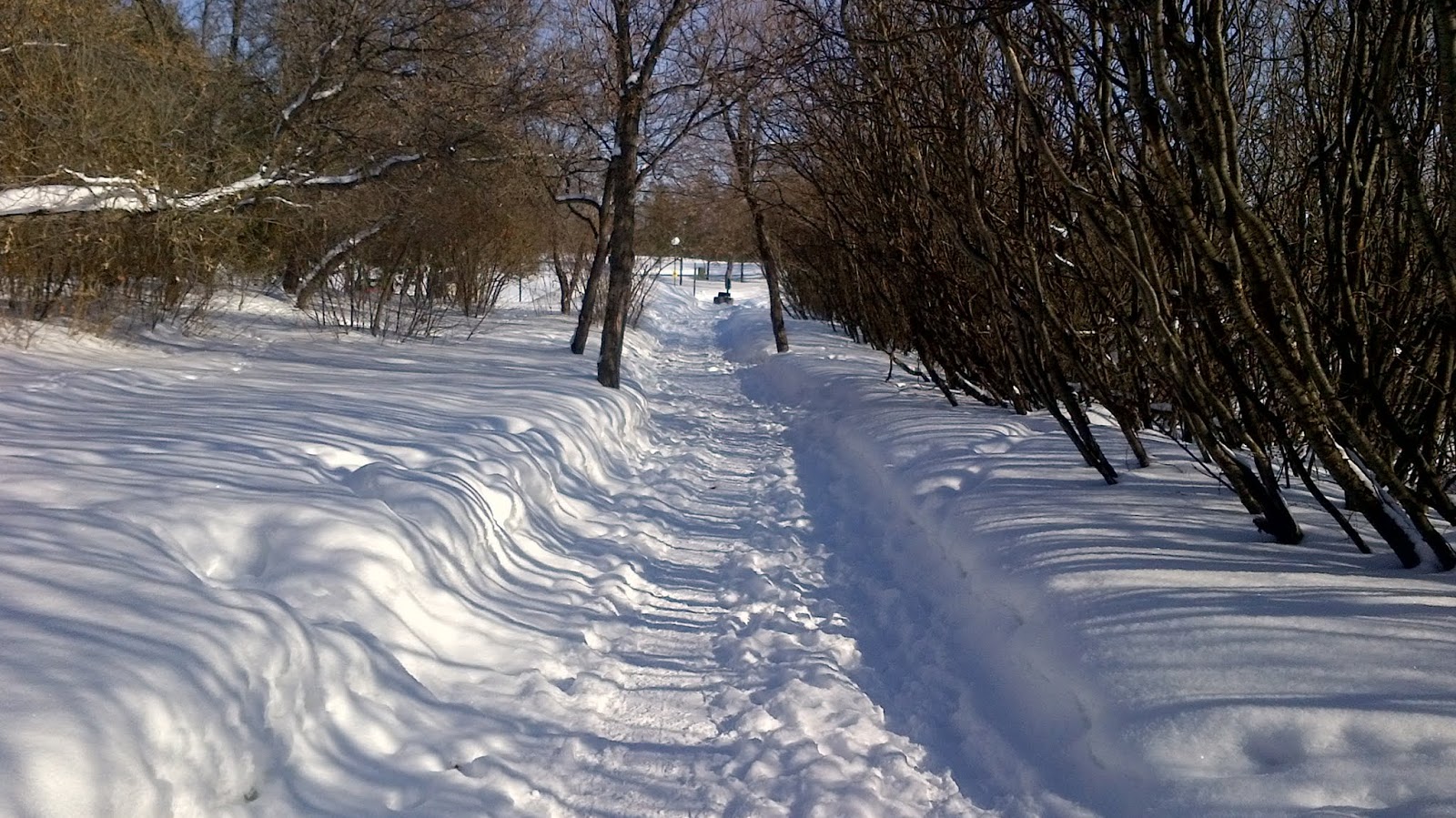 Canadian Prairie Storms Regina Close To Record Snowfall Photos