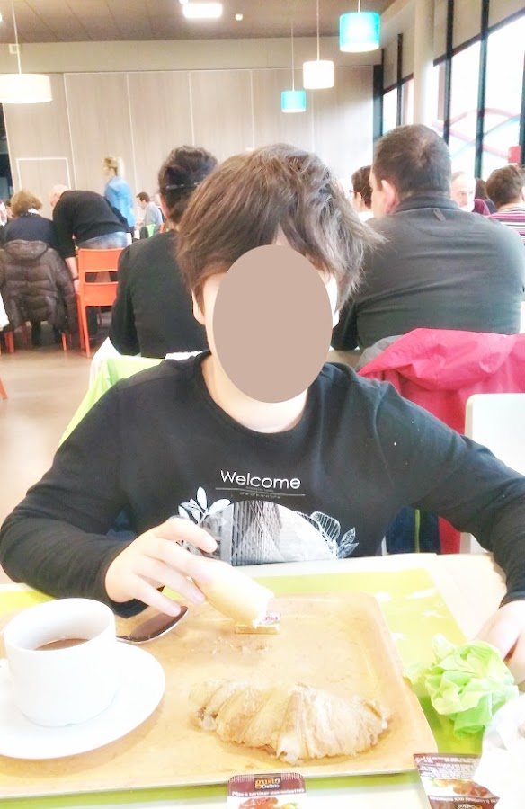 Futuroscope: guía de viajes, travel guide