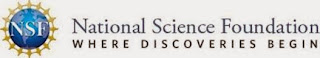 National Science Foundation Internship Program