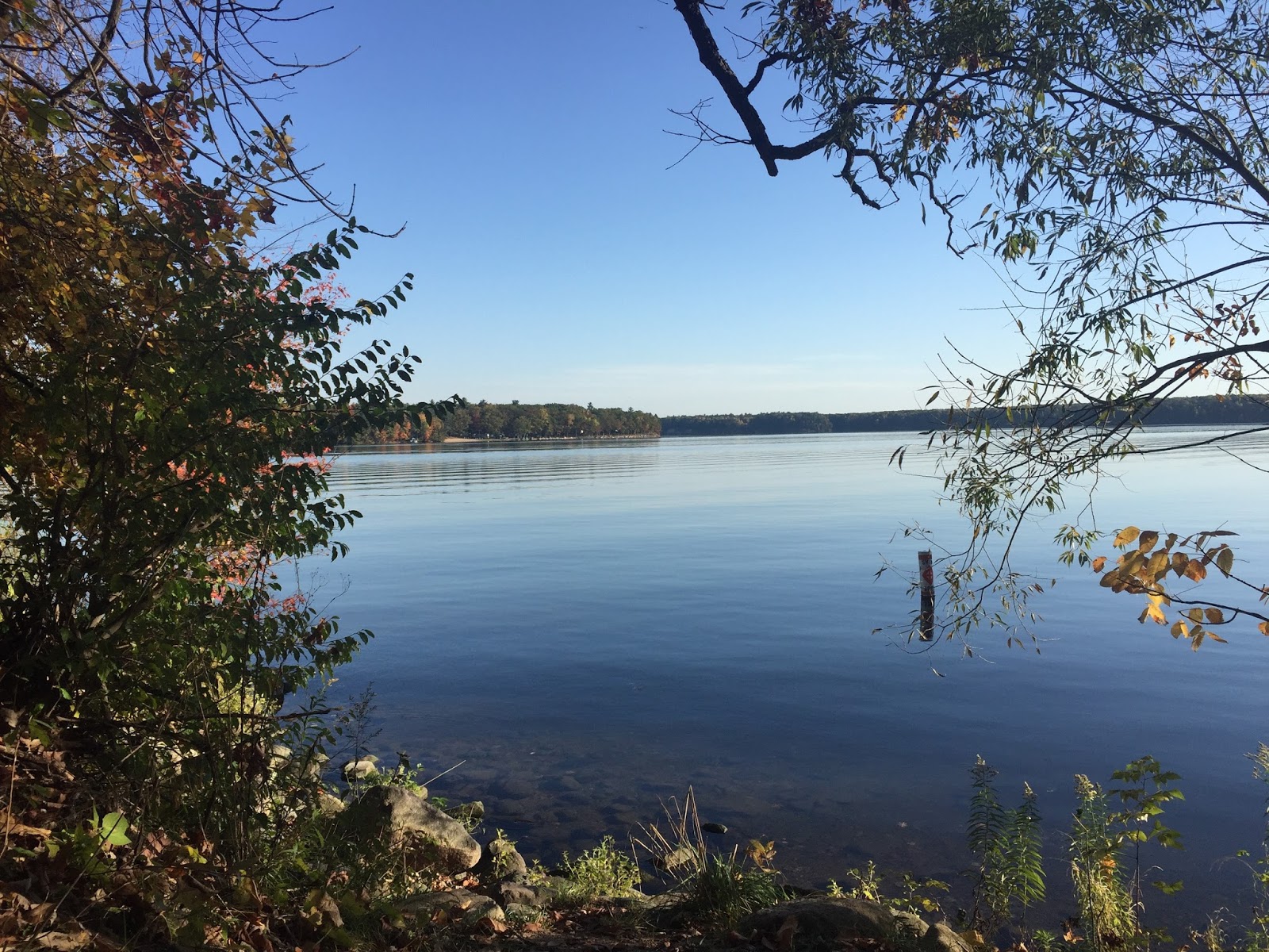 Travel Reviews & Information Newaygo, Michigan / State Campground