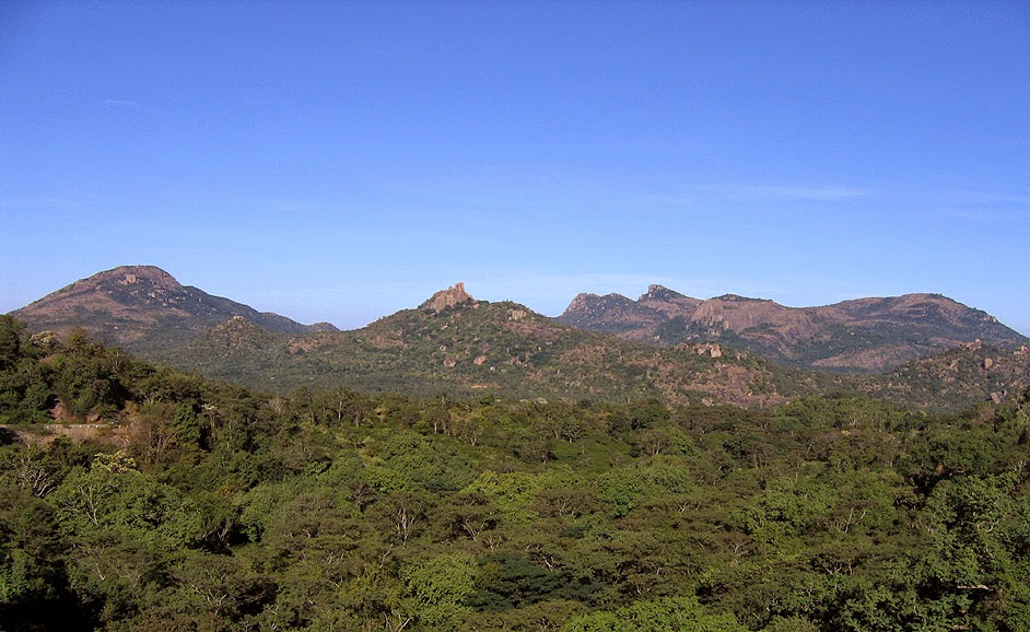 A view of Devarayanadurga forests ©Ameen Ahmed (All rights reserved) Devarayanadurga, Tumkur Ameen, Tumakuru