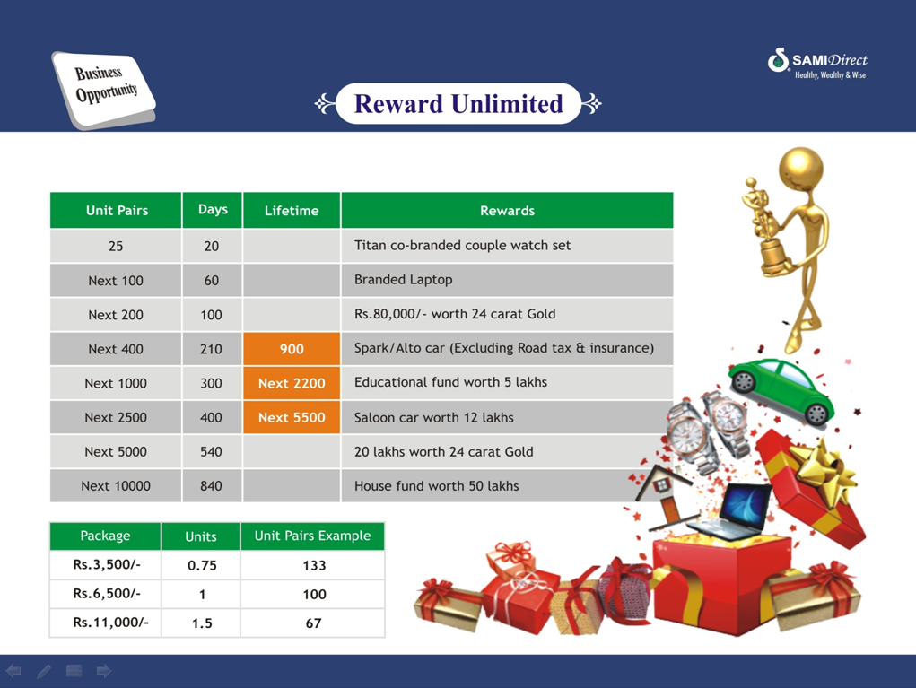Sami direct business plan pdf image