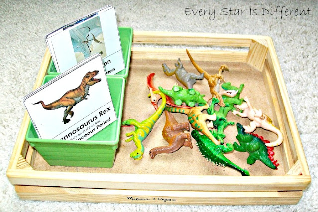 Dinosaur Identification Activity with FREE Printable