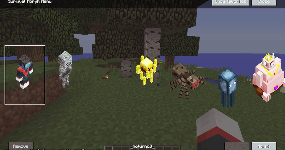 morph mod 1.12.2 that does not show hand held items