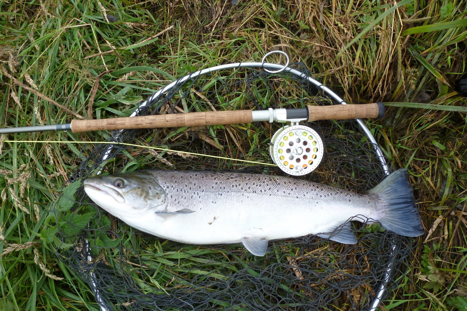 Adventures with a Salmon rod Sea Trout