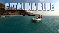 Catalina Blue