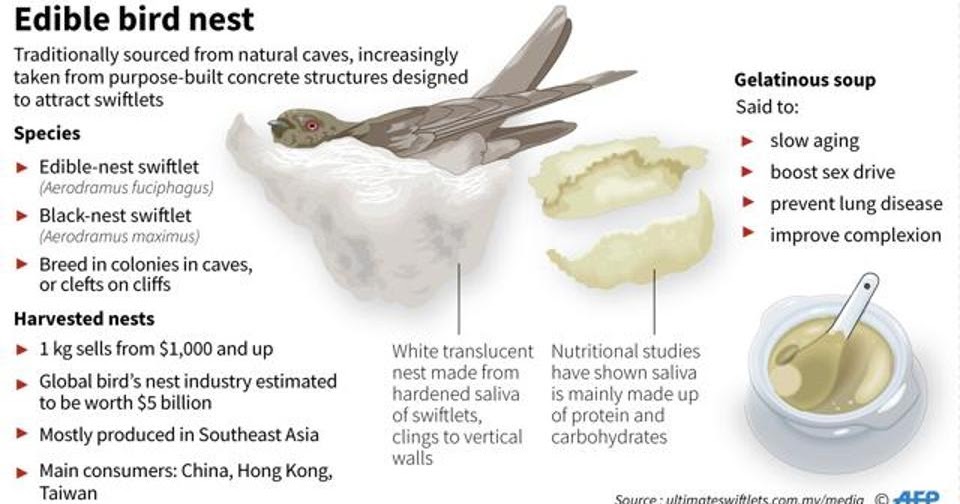 Buy Swallow Birds Nest Here’s why Swallow Birds Nests made of bird