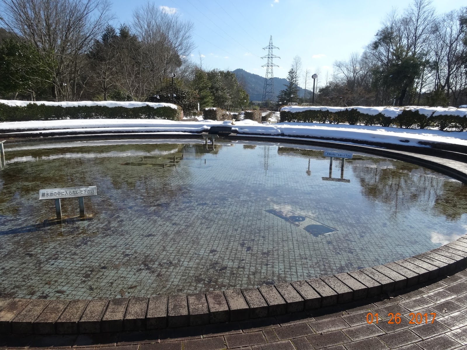 琵琶湖のほとり: 三上山（近江富士）
