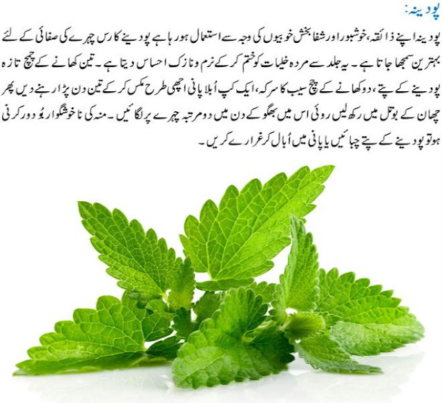 4 Amazing Herbs and Their Benefits in Urdu Jari Booti