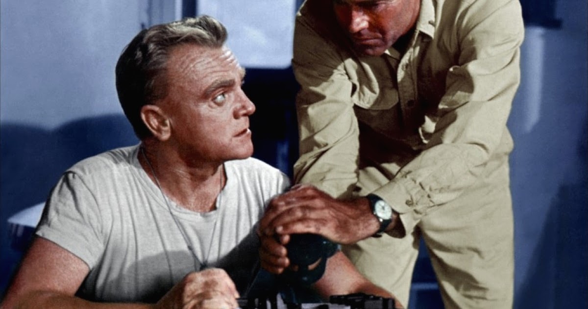 1955 best actor 1001plus oscar got it wrong best actor 1955 1955 best actor 1001plus oscar got it wrong best actor 1955