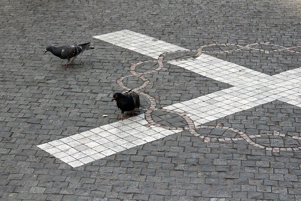 pigeons on sidewalk Prague