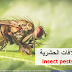 Common plant insect pests (Arabic)
