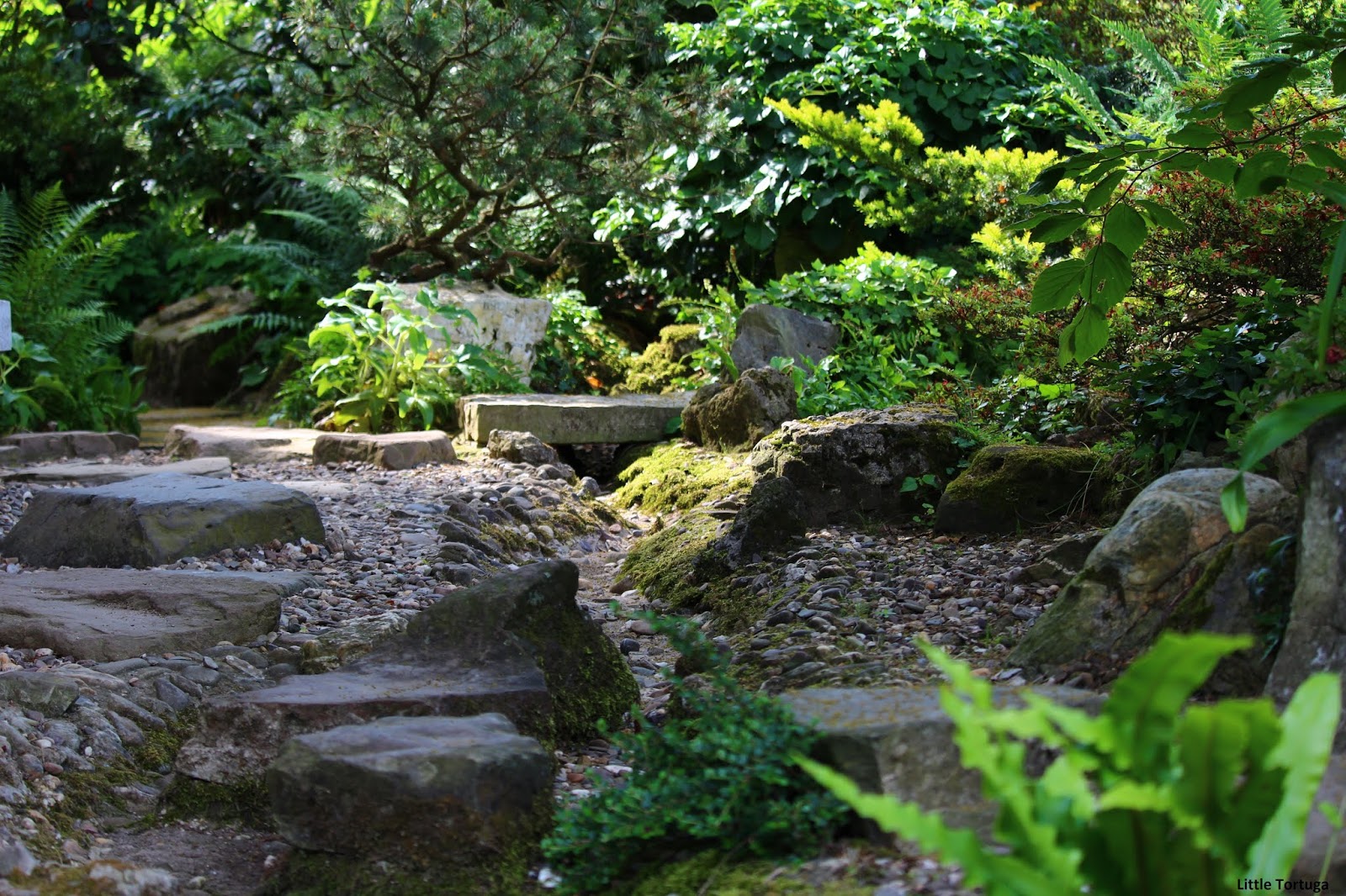 Little Tortuga Japanischer Garten Leverkusen Koln Flittard