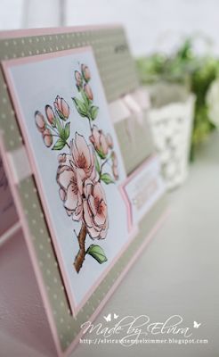 Detailfoto Kirschblüte
