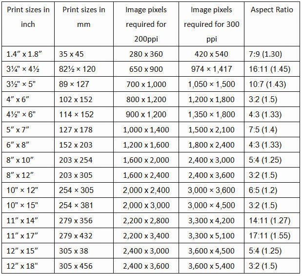 Size Chart 6 Inches