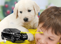 #Mettiamocilazampa, scegli la tua causa e vinci gratis un Nissan Qashqai Logo #Mettiamocilazampa, scegli la tua causa e vinci gratis un Nissan Qashqai
