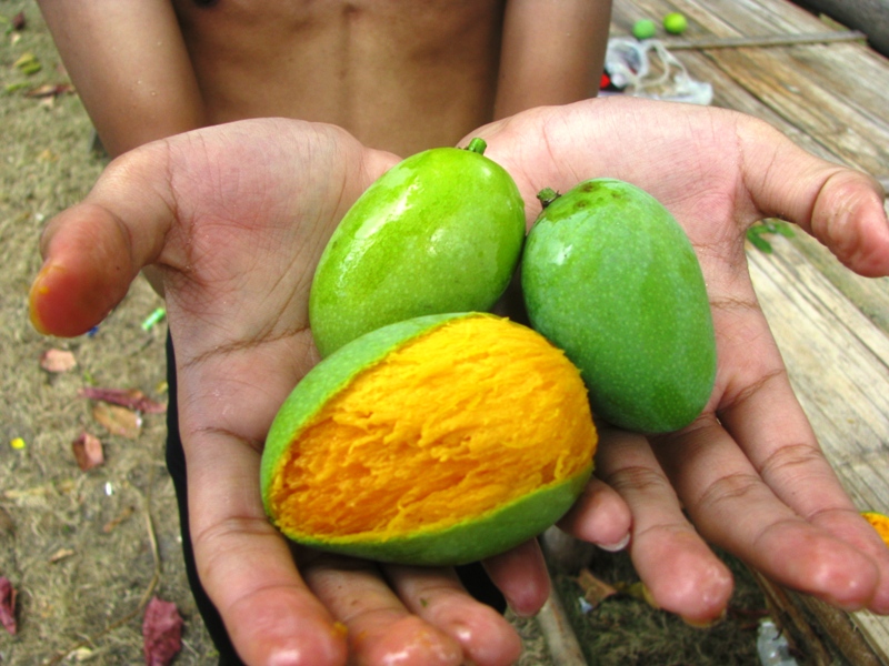 Perbedaan Keanekaragaman Gen, Spesies, dan Ekosistem - Biologi Edukasi