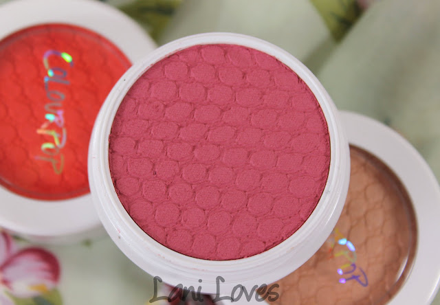 Colourpop Super Shock Cheek - Hysterical Blush Swatches & Review