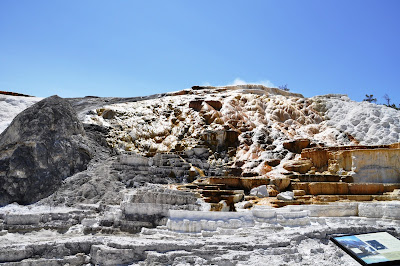 My Time to Spare: 2013