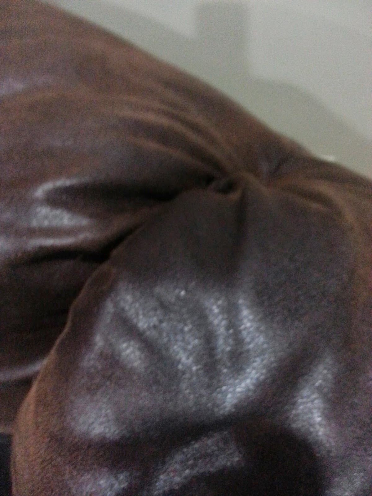 Genesis 950 Cleaning Tips And Tricks How To Clean Cat Vomit Stains