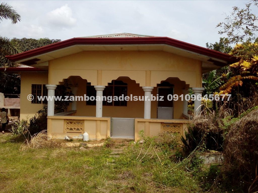 Zamboanga del Sur Properties FOR SALE HOUSE AND LOT AT PAGADIAN CITY