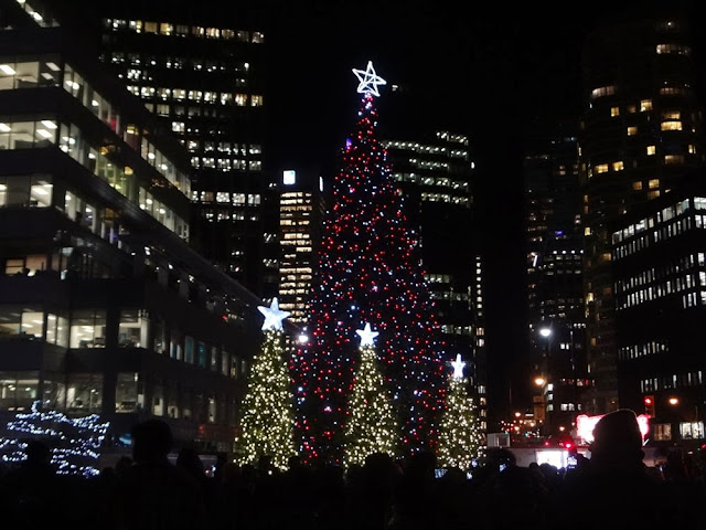 Vancouver Christmas tree lighting ceremony, 2013