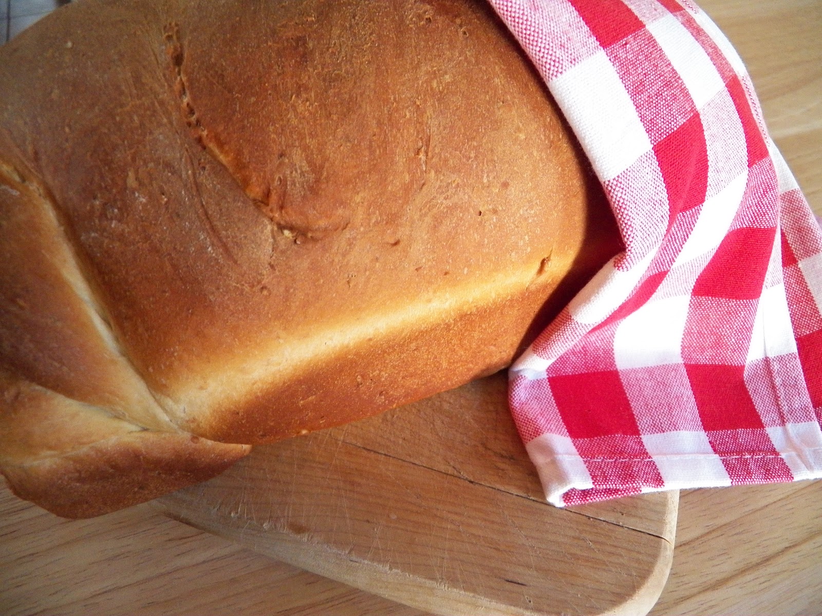 Comfy Cuisine Home Recipes from Family & Friends OldFashioned