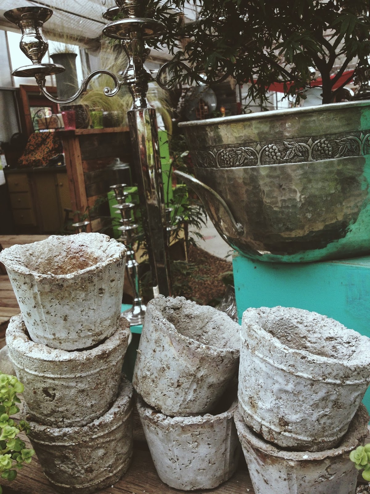 fivetenfifteen edwards greenhouse, boise