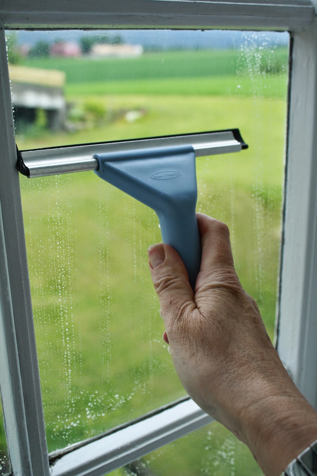 Jul i bestemors hage: Vaske vinduer