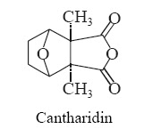Cantharidin  Synonym Cantharides Camphor