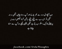 quotes urdu islamic