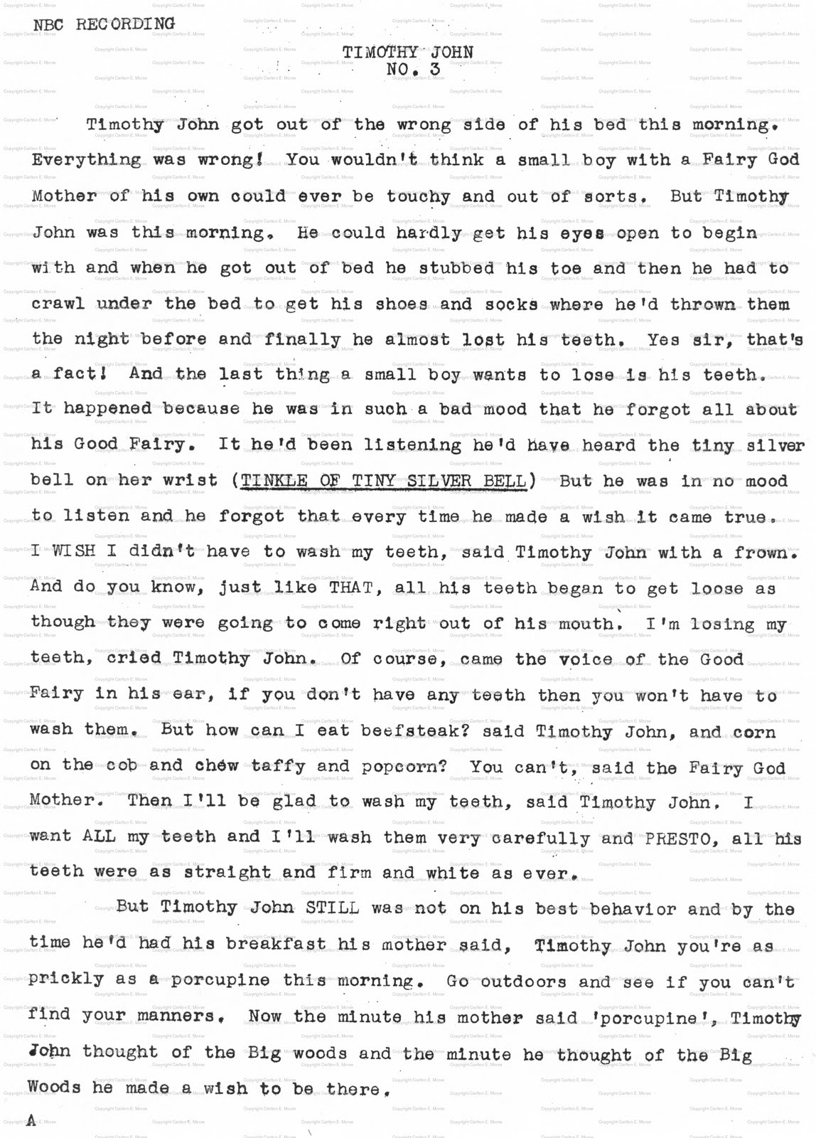 Martin Grams The Cinnamon Bear and Timothy John