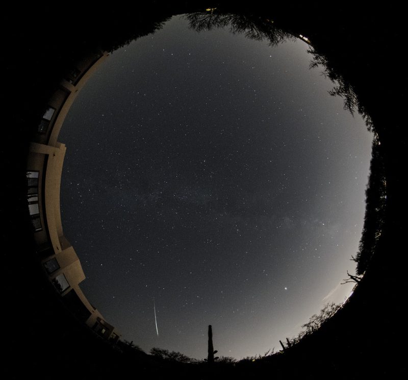 The Digital Teacher July in review & Perseids meteor shower Look up