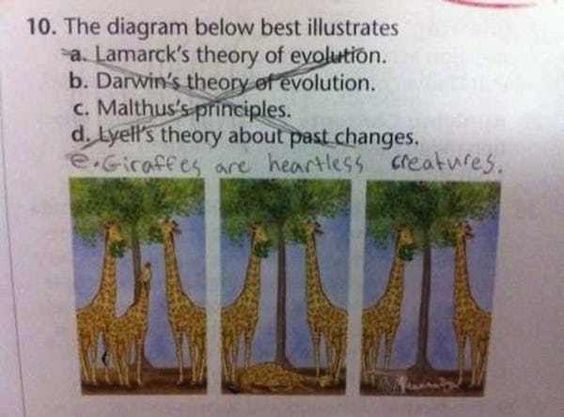 Funny Kids Test Answers