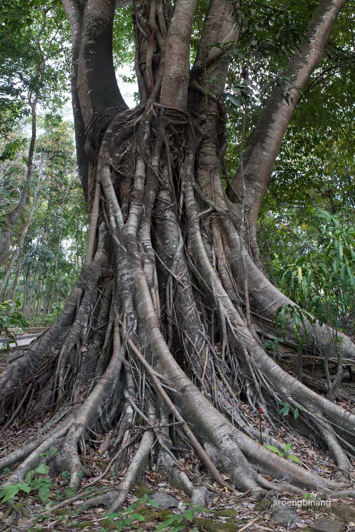 makam kyai hanggayuda kebumen