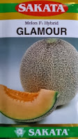 Melon, Sakata Glamour, Melon Orange, Harga Murah