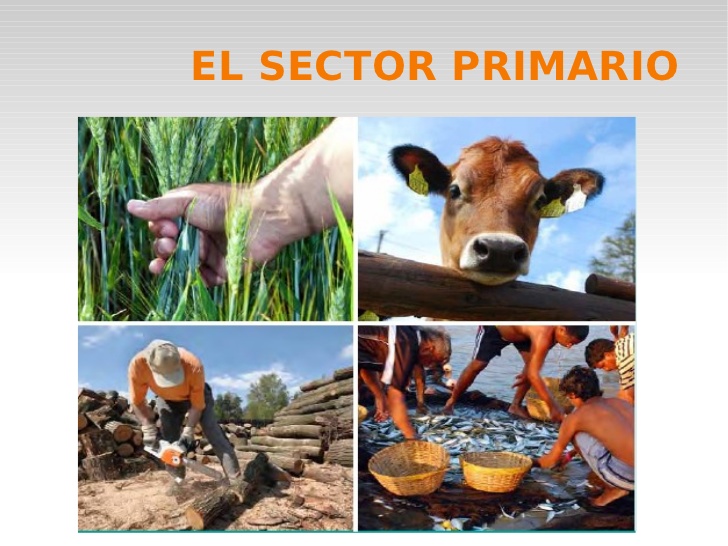 ESTRUCTURA SOCIOECONÓMICA DE MÉXICO SECTOR ECONÓMICO TERCIARIO ESTRUCTURA SOCIOECONÓMICA DE MÉXICO SECTOR ECONÓMICO TERCIARIO