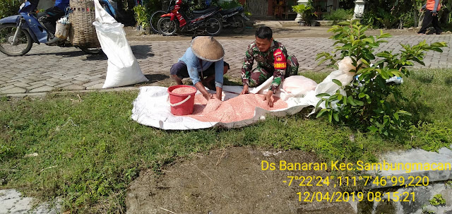 Tingkatkan Peran Babinsa, Sertu Ikwan Bantu Pemupukan