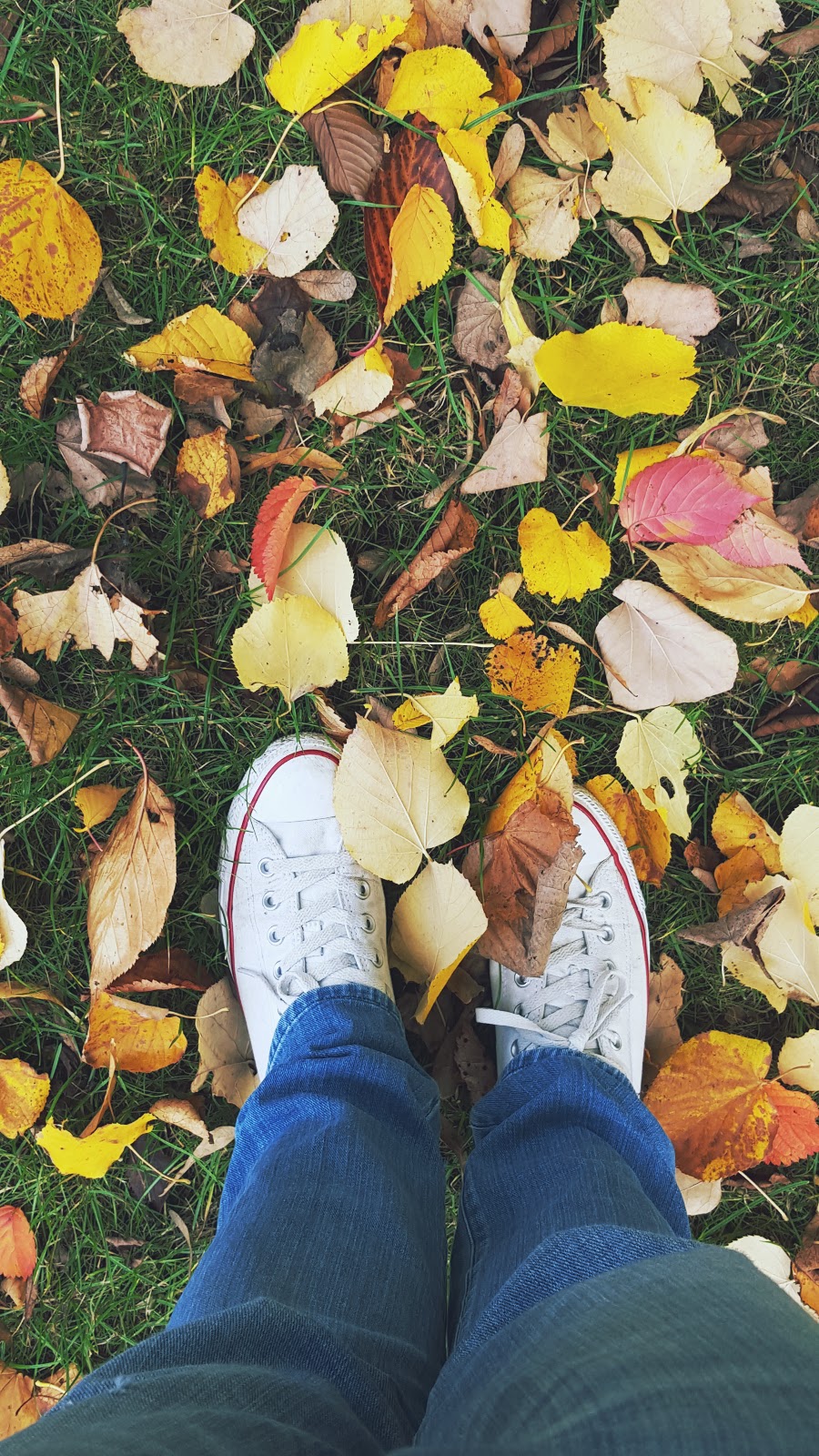 Autumn Fun And Kicking Some Leaves Autumn Fun And Kicking Some Leaves