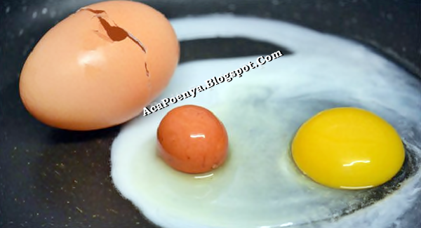 Telur Dalam Telur Telur Dalam Telur