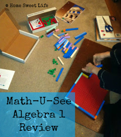 Home Sweet Life: Math-U-See Algebra 1 Review