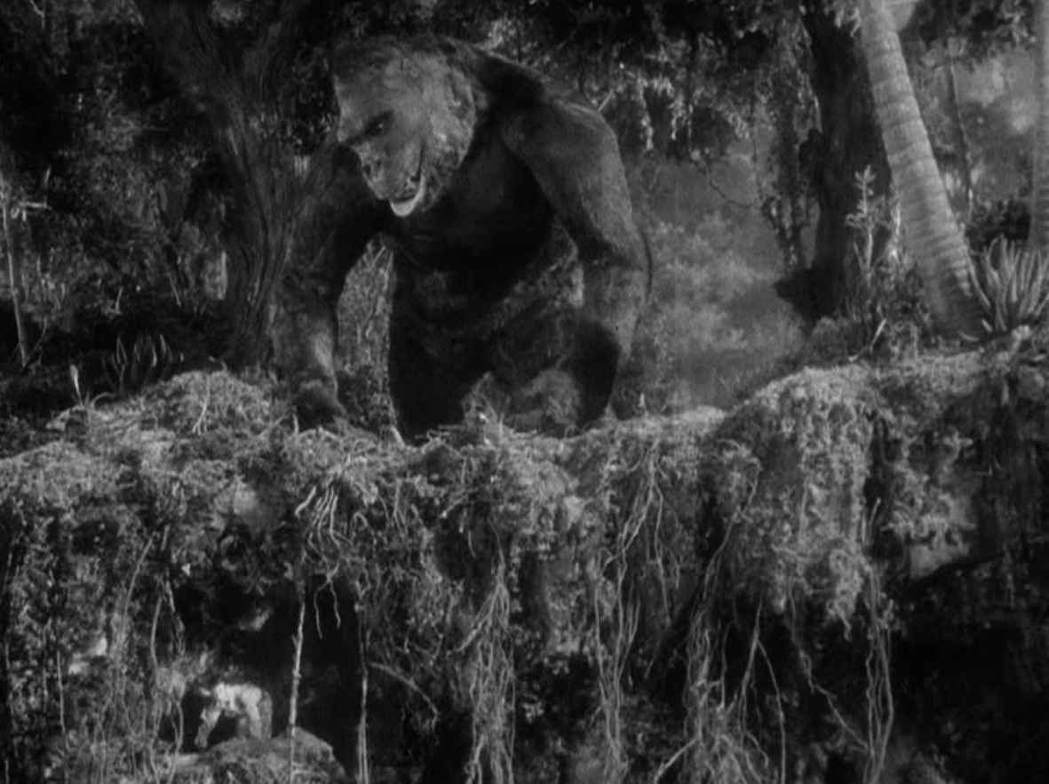 Film Review Feast EW 11 King Kong (1933)