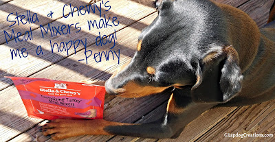 Stella & Chewy's Meal Mixers Make Penny a Happy Dog! #dogfood #rawdogfood #Chewy #ChewyInfluencer #LapdogCreations ©LapdogCreations