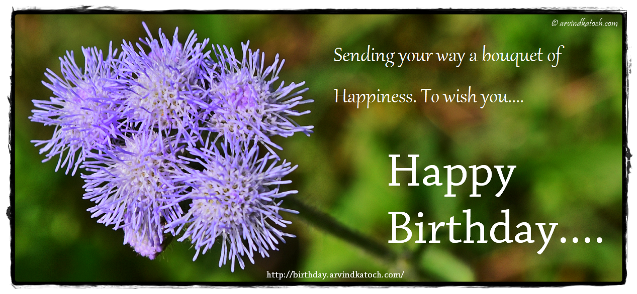 Happy Birthday Card (Sending your way a bouquet of Happiness)