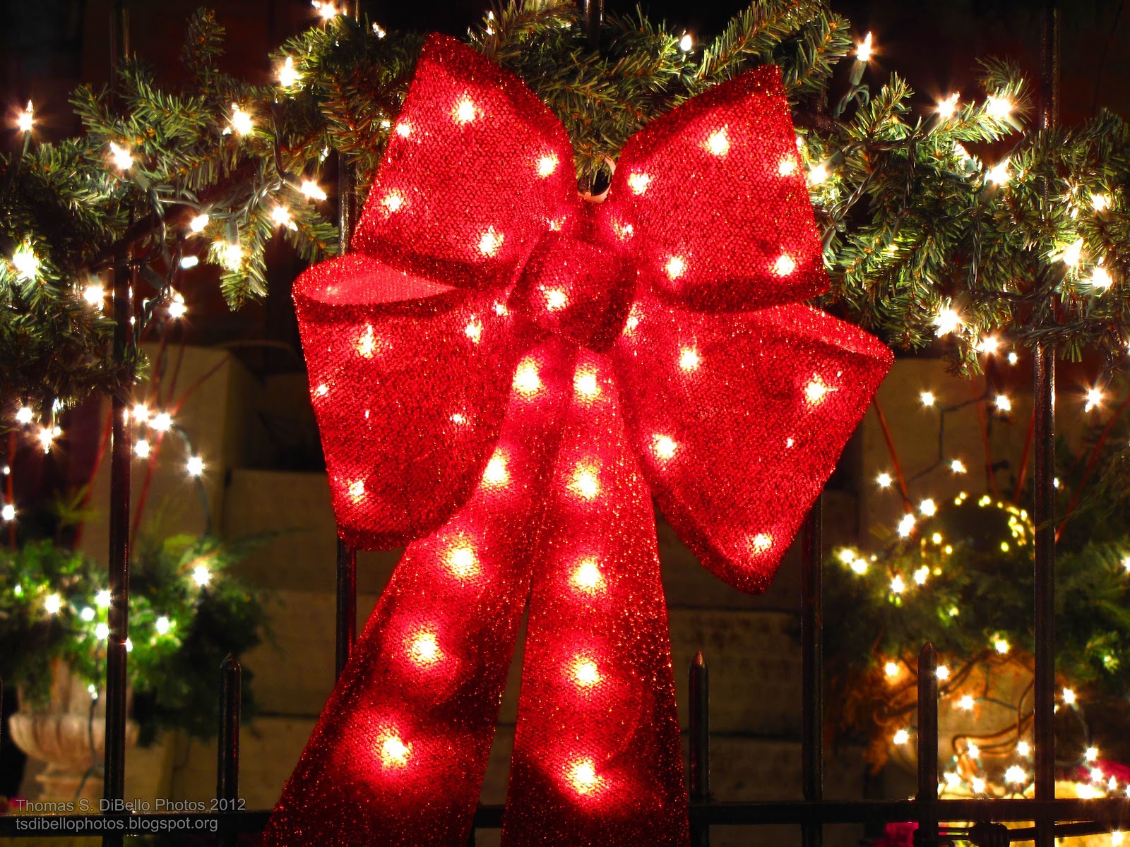 Portraits of Covington A Covington Christmas, 2012!